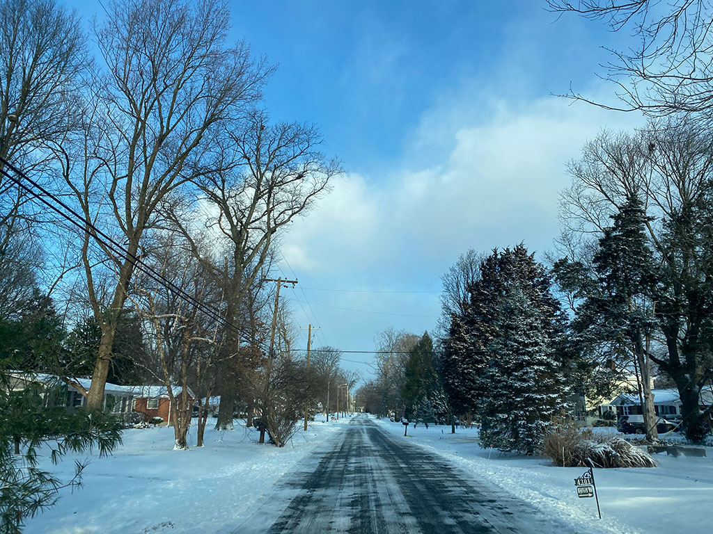 Winter road through trees